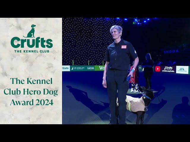 Hero Dog Award | Crufts 2024