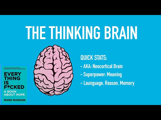🧠Your Thinking Brain 🧠