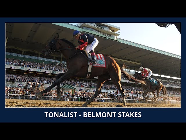 Tonalist - 2014 Belmont Stakes (G1)
