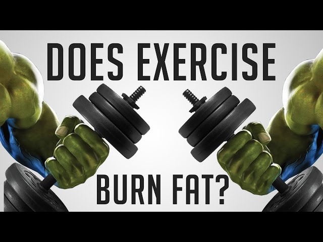 How Does Exercise Really Burn Fat? (Exercise vs DIET)
