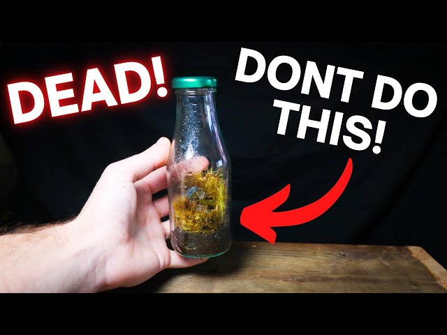 THIS is KILLING Your Terrariums!
