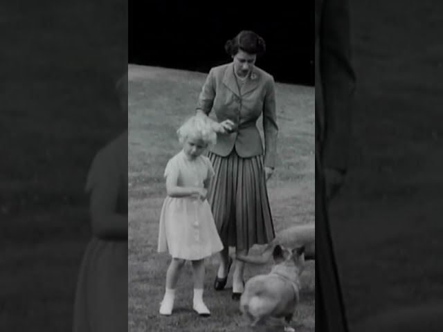 What Will Happen to The Queen's Corgis?