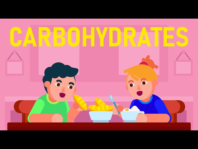 What are Carbohydrates? What are its different Types?