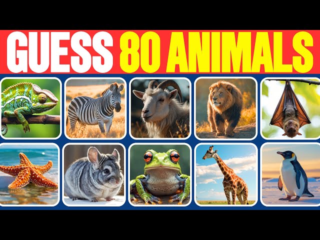 Guess The Animals in 3 Seconds 🐶🐈🐯| 80 Animals Quiz | Easy, Medium, Hard, Impossible