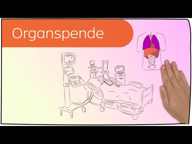 Organspende in 3 Minuten erklärt