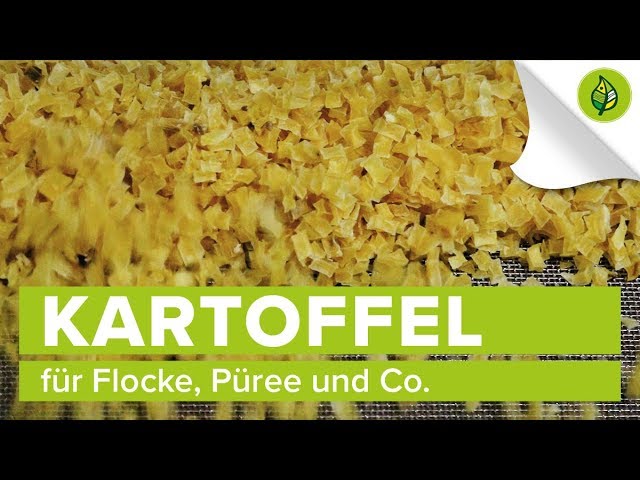 Aus Kartoffel wird Flocke, Püree und Co.
