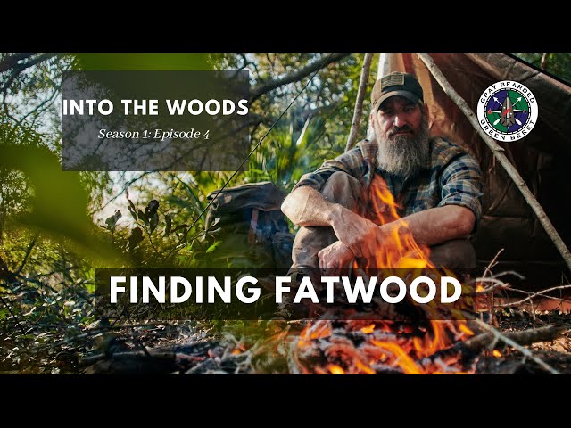Finding Fatwood: S1E4 Into the Woods | Gray Bearded Green Beret