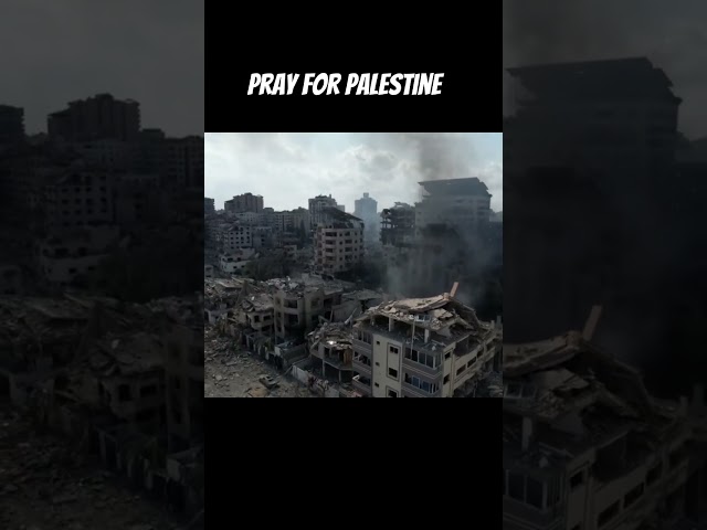 pray for palestine #shortsviral #palestine