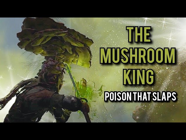 THE MUSHROOM KING - A poison build that absolutely slaps! RL 100. Elden Ring invasions.