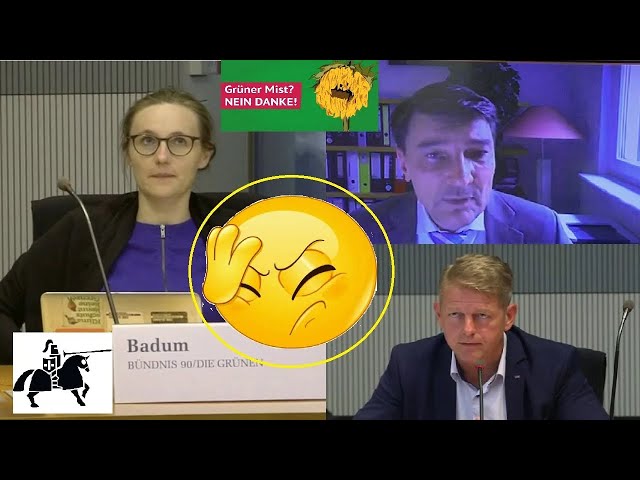 Grünen-Frau diskreditiert Experten, weil der von grüner "Politik der Verteuerung" redet (Ausschuss)