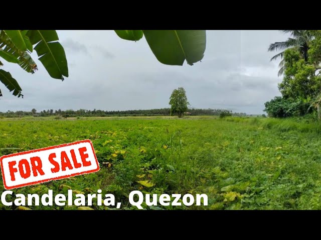 #43 Farm Lot for sale Candelaria, Quezon Province | farm for sale in the Philippines