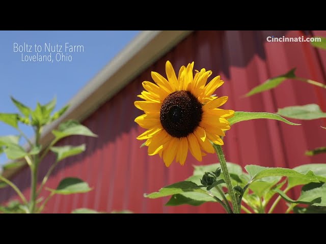 Ohio couple creates accessible and inclusive farm in Loveland for all