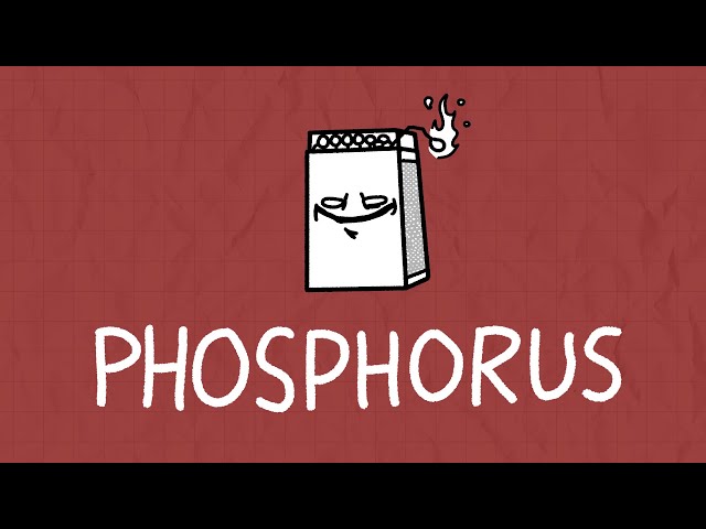Tatefacts - Phosphorus