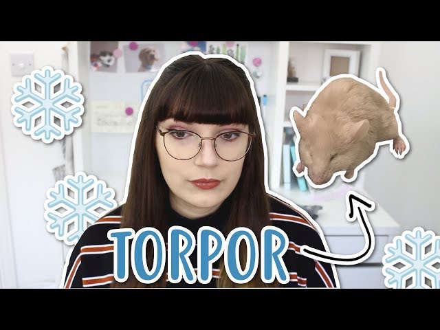 She could have died... | TORPOR IN MICE