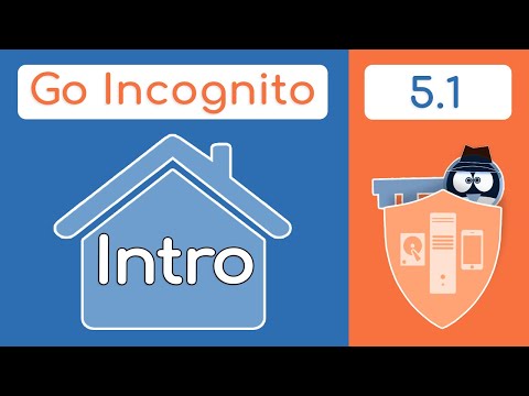 Section 5 Introduction | Go Incognito 5.1