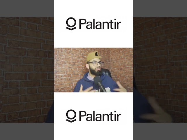 Why Does The Government Need Palantir?
