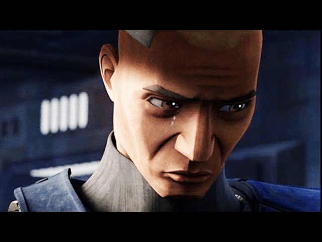 A Clone Trooper's appearance says a lot about his combat experience