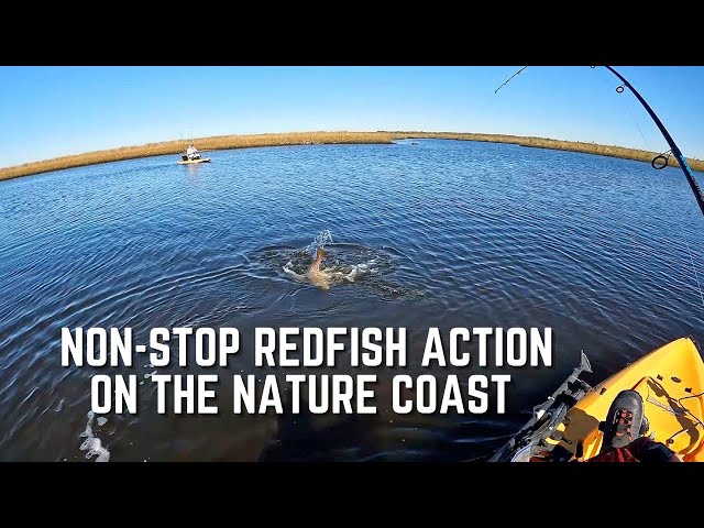 Airtight Recipe To Countless Redfish [Exploring Florida's Nature Coast]