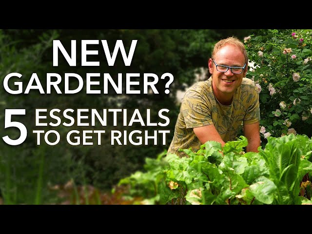 How To Start a Vegetable Garden