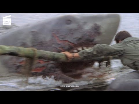 Jaws 2: Where is He ? (HD CLIP)