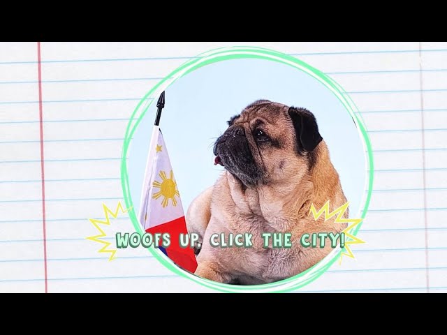 Catch Celebrity Dog It's Doug The Pug in Netflix's The Mitchells vs. The Machines | ClickTheCity