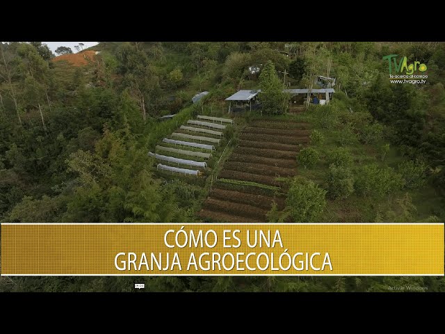 Como es una granja agroecologica - TvAgro por Juan Gonzalo Angel Restrepo