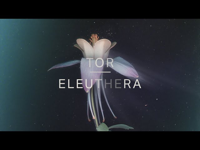 Tor - Eleuthera (Official Audio)