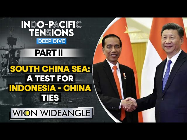 South China Sea Tensions: Why is Indonesia warming up to China | WION Wideangle