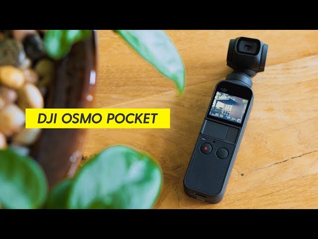 Do you NEED the DJI Osmo Pocket?