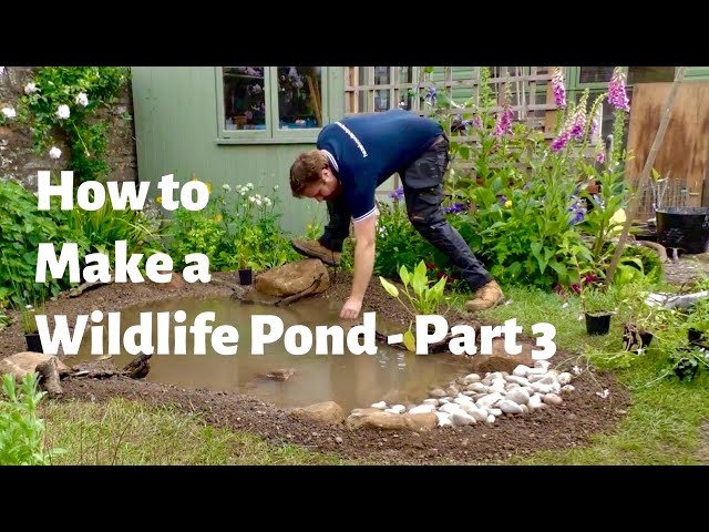 How to Make the Ultimate Wildlife Pond - Part 3 - Planting the Pond