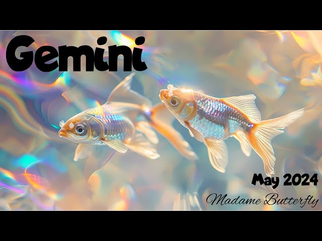 🔮🎴🦋Gemini~ receiving divine inspiration for a new business or job & a new love is watching you⚡💸❤️👀