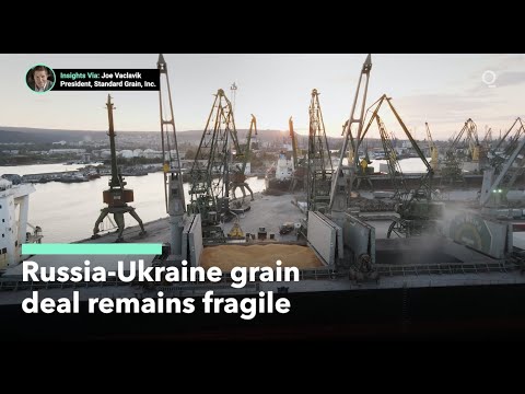 Russia-Ukraine Grain Deal Is Alive, but for How Long?