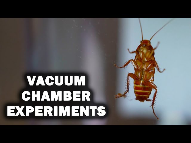 15 Vacuum Chamber  Experiments