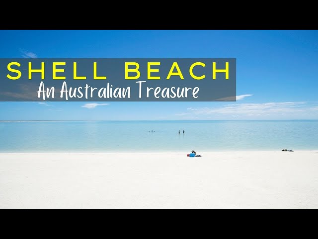 Shell Beach | Travel Guide | Shark Bay Western Australia
