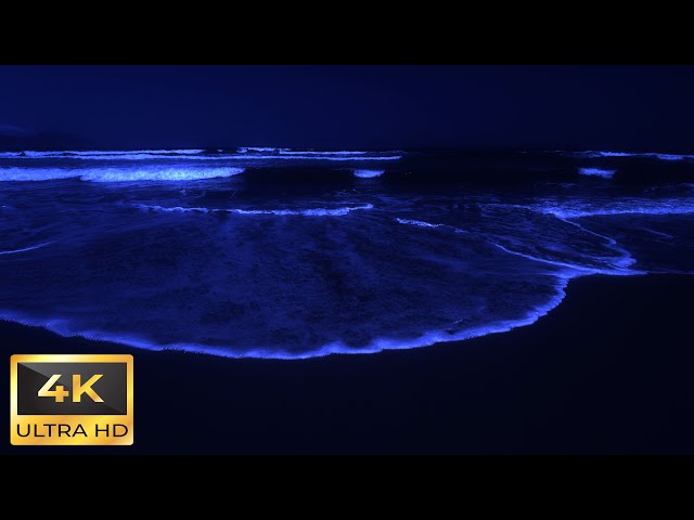 Ocean Waves White Noise For Sleeping 8 HOUR | High Quality Stereo Sounds | Dark Screen 4K Video