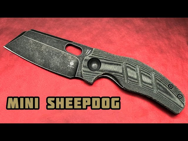 Kizer Mini Sheepdog Knife C01C