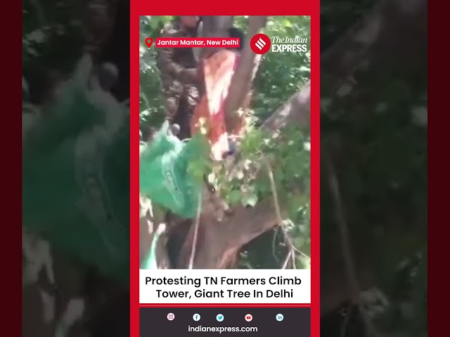Tamil Nadu Farmers Climb Mobile Tower, Giant Tree at Jantar Mantar In Delhi