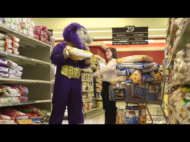 Ingles 2015 Southern Conference Mascot Commercial - WCU