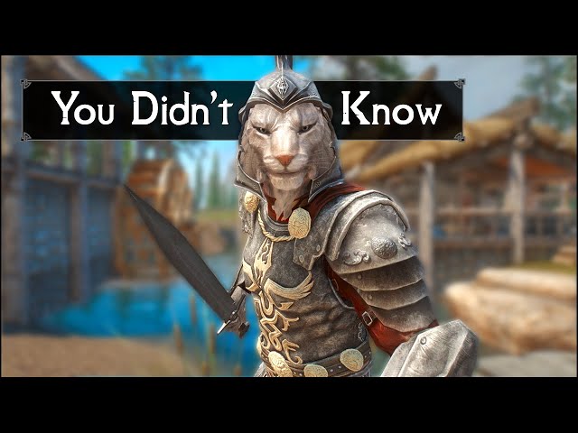 Skyrim: 5 Things You Probably Didn't Know You Could Do - The Elder Scrolls 5: Secrets (Part 21)