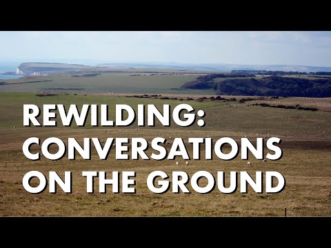 Rewilding: Conversations on the Ground