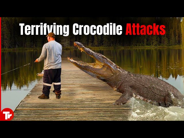 You Wouldn't Believe These Terrifying Crocodile Attacks if not Caught on Camera