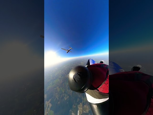 WINGSUIT FLY BY 🦅 #wingsuit #skydiving #skydive #shorts