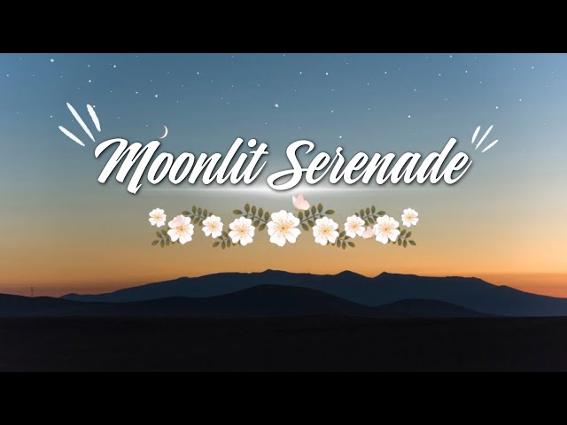 Moonlit Serenade 🎶 Piano Relax Music