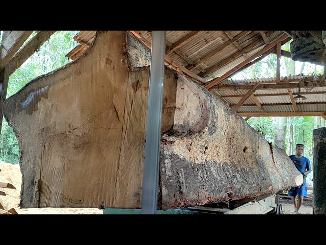 Shake the world!! Dramatic cutting of the largest and longest sacred wood in the sawmill