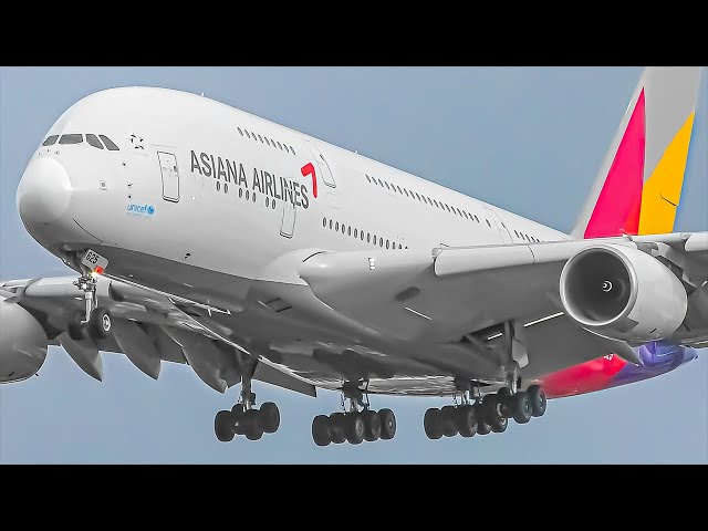 20 MINS of Landings & Takeoffs | Airbus A380 Compilation Special