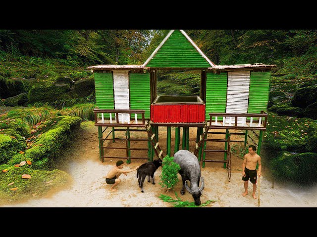 Build The Amazing Bamboo Swimming Pool With Water Slide On Bamboo House And Buffalo Breeding Barn