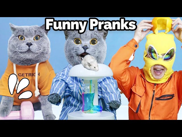 Let You Relax And Laugh With The Latest Pranks!🤣🌟 | Oscar‘s Funny World | New Funny Videos 2024