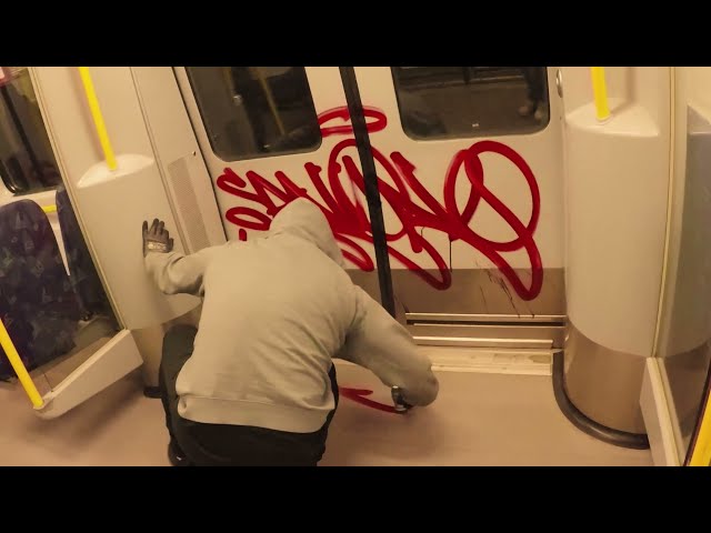 Train Bombing and 6 Wholecars with Sano (Graffiti bombing)