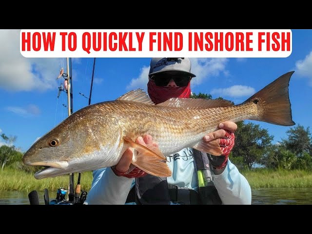 Cruising The Flats To Quickly Find Inshore Fish [Fishing Report]