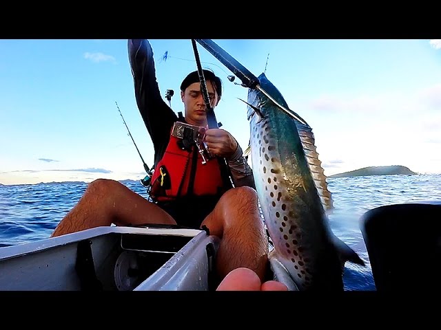 Mackerel Season Kick Off 2015 - Kayak Fishing Australia